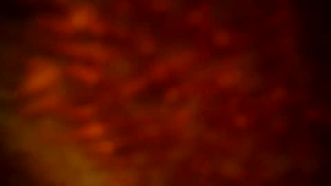 Snapshot of samueltal chatting on 09/22/25, 09:50 samueltal online show from 09/22/25, 09:50