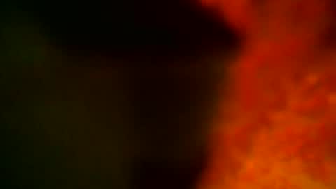 Snapshot of samueltal chatting on 10/14/25, 09:15 samueltal online show from 10/14/25, 09:15