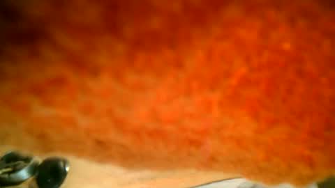 Snapshot of samueltal chatting on 10/16/25, 07:37 samueltal online show from 10/16/25, 07:37