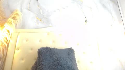 S A M A N T H A  online show from 12/13/25, 07:53