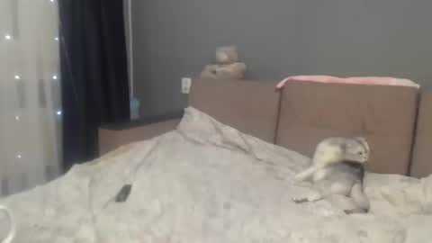 sandra_smith3007 online show from 02/06/26, 07:06