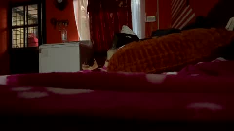 sans_976802 online show from 02/21/25, 12:05