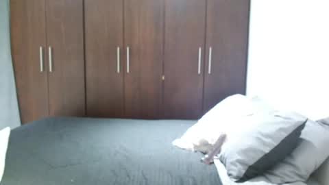 Santy Torres online show from 06/07/26, 04:27
