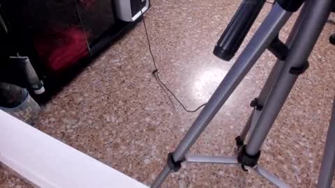 sara_salgado online show from 02/23/26, 11:07