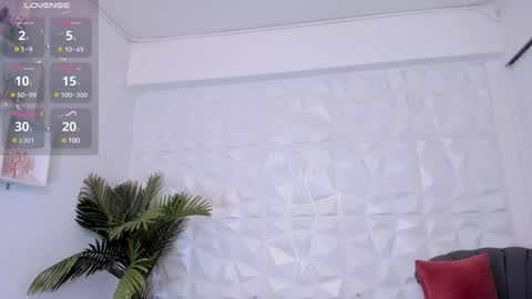 Snapshot of saraamills chatting on 01/14/25, 10:12 Sara online show from 01/14/25, 10:12