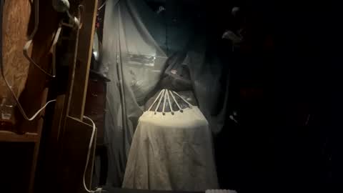 Sarrah Sweet online show from 09/21/25, 06:04