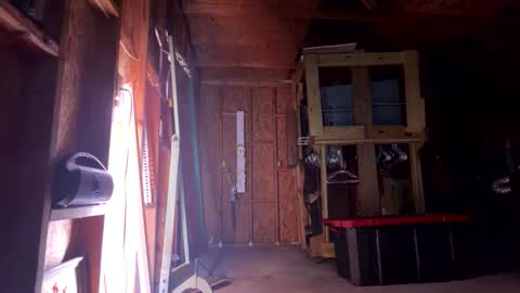 Sarrah Sweet online show from 03/08/26, 11:14