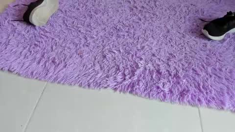 sarah  cinnamon online show from 12/18/25, 06:58