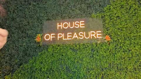 Sarah Bonneth online show from 03/14/26, 11:59