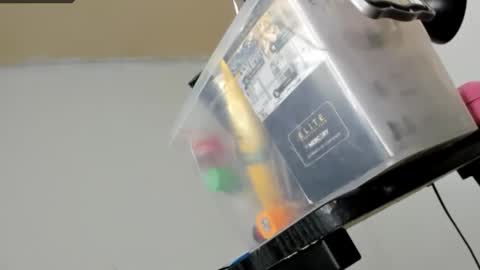 Sarah online show from 02/13/26, 08:32