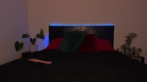 Girl next door online show from 01/19/25, 11:53