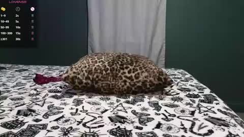Snapshot of sarahsteveson chatting on 06/29/26, 03:02 Sarah Babes online show from 06/29/26, 03:02