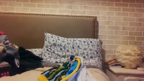 Sara online show from 12/15/24, 12:07