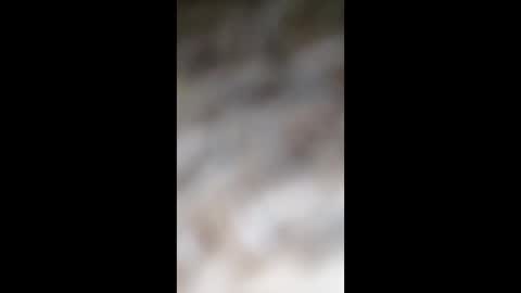 sarfith10 online show from 05/13/26, 08:55