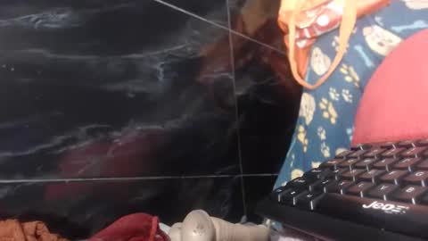 sasha online show from 02/02/26, 08:24