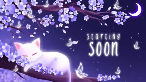 Sassy Sami Kittyn online show from 02/17/25, 05:47