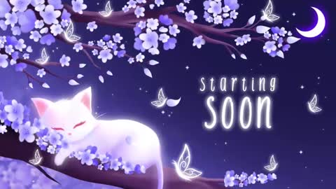 Sassy Sami Kittyn online show from 03/10/25, 05:11