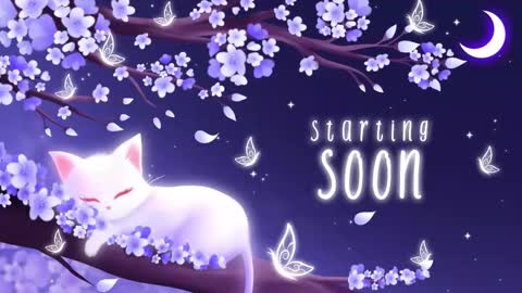 Sassy Sami Kittyn online show from 09/22/25, 05:31