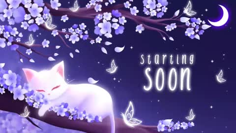 Sassy Sami Kittyn online show from 10/21/25, 05:08