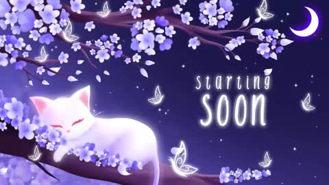 Sassy Sami Kittyn online show from 11/04/25, 06:23