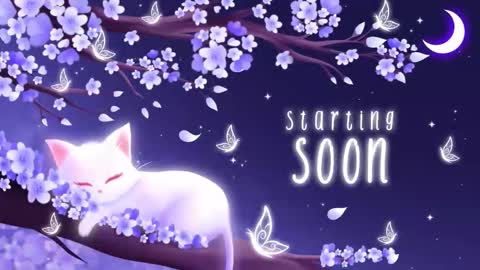 Sassy Sami Kittyn online show from 12/02/25, 06:08