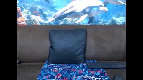 sasyylissaa online show from 03/03/25, 07:39