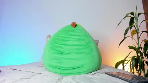     online show from 11/14/25, 08:35