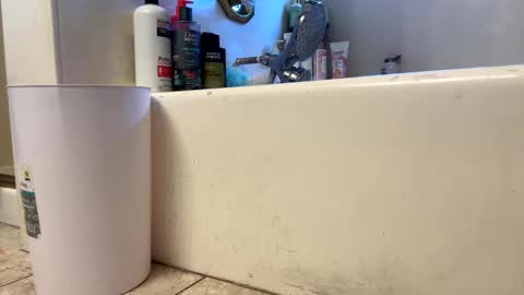 ElVergone online show from 03/01/26, 11:40