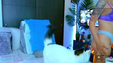   Dela  online show from 01/07/26, 04:42