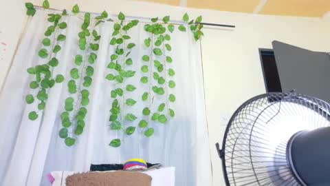 savory_pussy18 online show from 03/19/26, 11:47