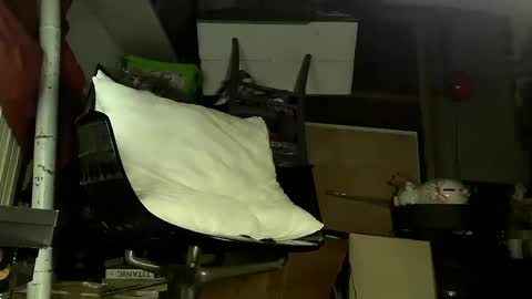 Snapshot of sbamx chatting on 12/17/24, 05:29 Sbamx online show from 12/17/24, 05:29