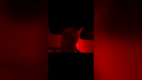 sbsesh online show from 02/14/26, 12:02
