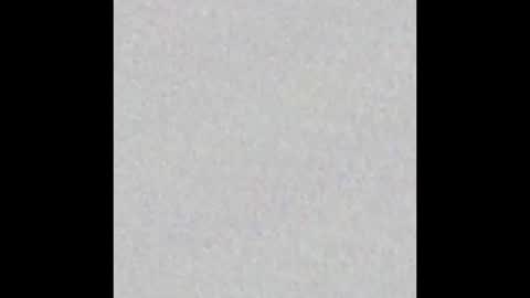 Snapshot of scalertt__steel_ chatting on 03/01/26, 02:19 Venus online show from 03/01/26, 02:19