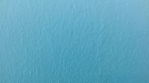 Snapshot of scarlet771776 chatting on 11/29/25, 08:12 scarlet771776 online show from 11/29/25, 08:12