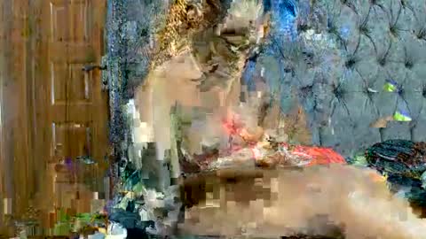 Snapshot of scarlet_seductress chatting on 03/02/26, 11:22 scarlet seductress online show from 03/02/26, 11:22