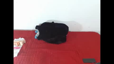 Snapshot of scarletfox__03 chatting on 02/12/26, 07:31 Scarletfox Fox online show from 02/12/26, 07:31