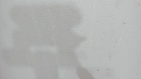 Scarlett 3 online show from 12/04/25, 03:05