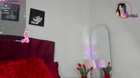 Snapshot of scarlett_jank chatting on 07/03/26, 08:37 scarlett_jank online show from 07/03/26, 08:37