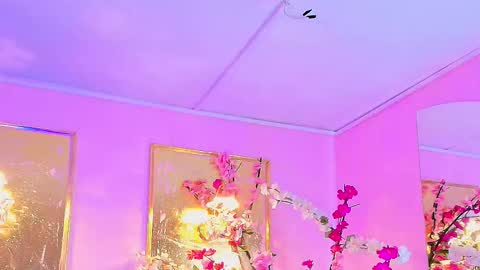 SCARLETTE online show from 02/20/26, 07:58