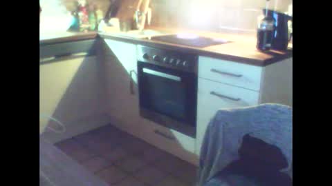 schnibschnab online show from 02/25/26, 01:48