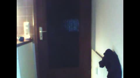 schnibschnab online show from 02/27/26, 02:11