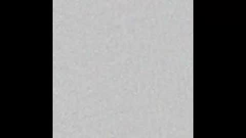 Scolw  online show from 12/15/25, 11:47