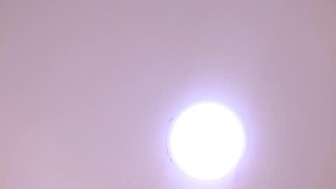 Damar online show from 01/08/26, 06:32