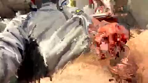 scottj603603 online show from 02/18/26, 06:59