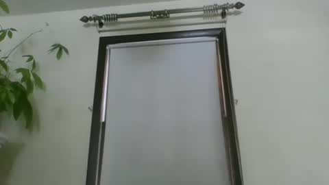 scottpbi52 online show from 12/21/24, 05:40