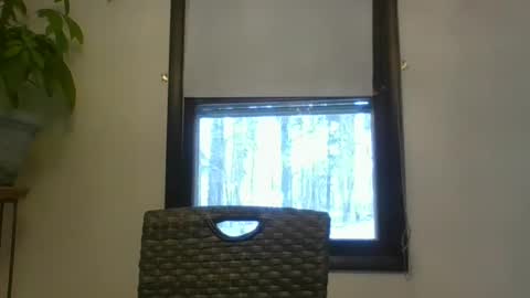 scottpbi52 online show from 01/02/25, 05:39