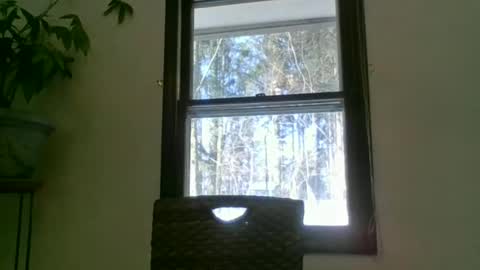 scottpbi52 online show from 01/22/25, 02:14