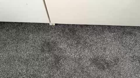 scottyc48 online show from 11/13/25, 02:49