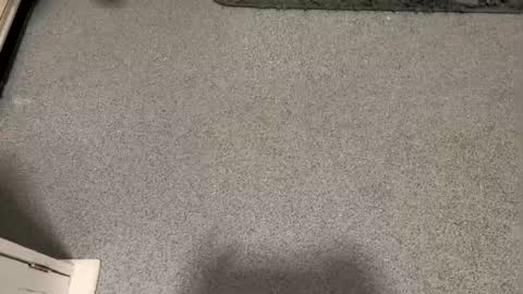 scottyc48 online show from 01/12/26, 03:17