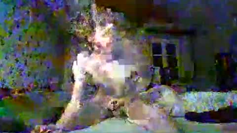 scratt67 online show from 11/22/25, 03:38